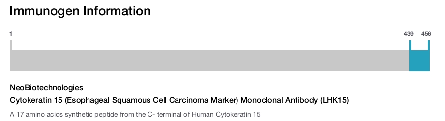 Cytokeratin 15 (Esophageal Squamous Cell Carcinoma Marker) Monoclonal Antibody (LHK15)