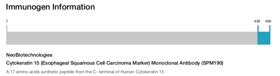 Cytokeratin 15 (Esophageal Squamous Cell Carcinoma Marker) Monoclonal Antibody (SPM190)