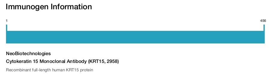 Cytokeratin 15 Monoclonal Antibody (KRT15, 2958)