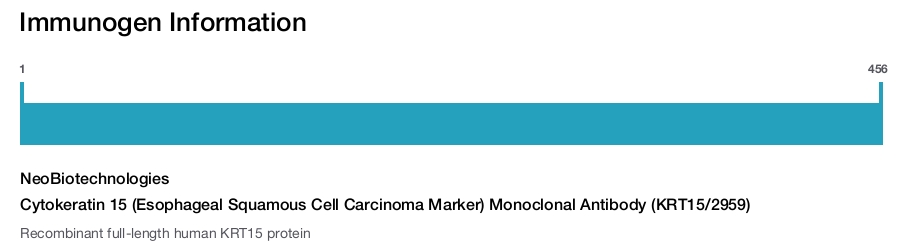 Cytokeratin 15 (Esophageal Squamous Cell Carcinoma Marker) Monoclonal Antibody (KRT15/2959)