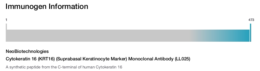 Cytokeratin 16 (KRT16) (Suprabasal Keratinocyte Marker) Monoclonal Antibody (LL025)