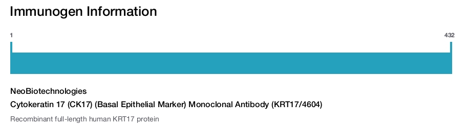 Cytokeratin 17 (CK17) (Basal Epithelial Marker) Monoclonal Antibody (KRT17/4604)