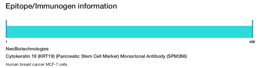 Cytokeratin 19 (KRT19) (Pancreatic Stem Cell Marker) Monoclonal Antibody (SPM266)