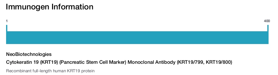Cytokeratin 19 (KRT19) (Pancreatic Stem Cell Marker) Monoclonal Antibody (KRT19/799, KRT19/800)