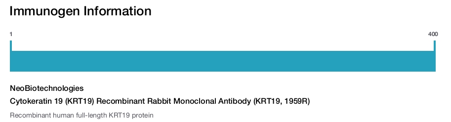Cytokeratin 19 (KRT19) Recombinant Rabbit Monoclonal Antibody (KRT19, 1959R)