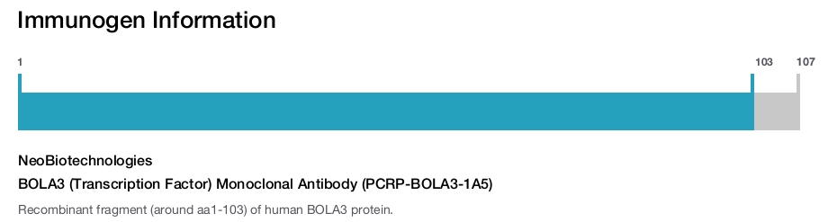BOLA3 (Transcription Factor) Monoclonal Antibody (PCRP-BOLA3-1A5)