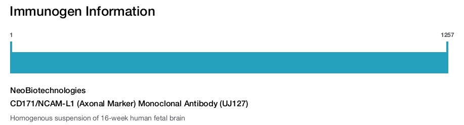 CD171/NCAM-L1 (Axonal Marker) Monoclonal Antibody (UJ127)