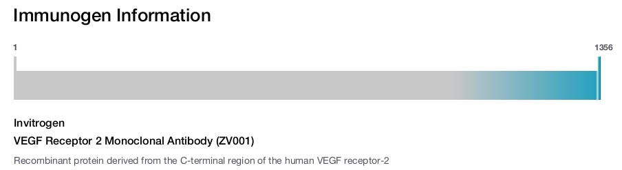 VEGF Receptor 2 Monoclonal Antibody (ZV001)