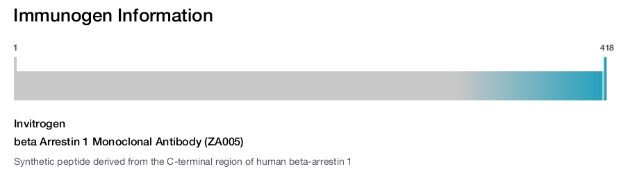 beta Arrestin 1 Monoclonal Antibody (ZA005)