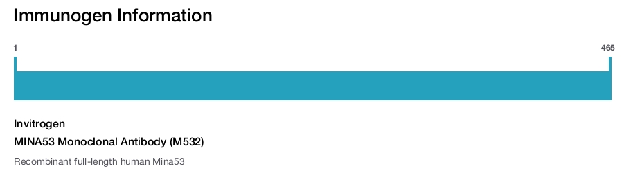 MINA53 Monoclonal Antibody (M532)