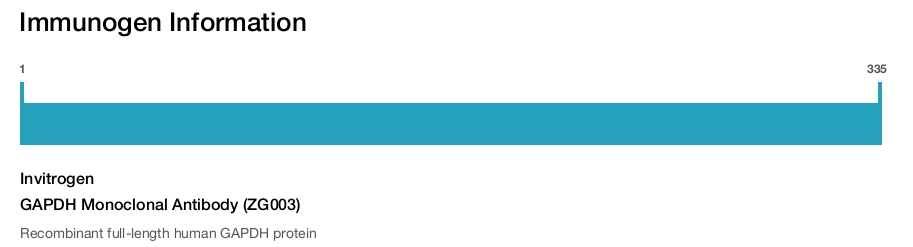 GAPDH Monoclonal Antibody (ZG003)