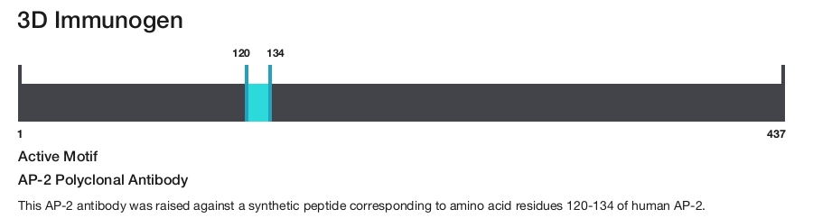 AP-2 Polyclonal Antibody