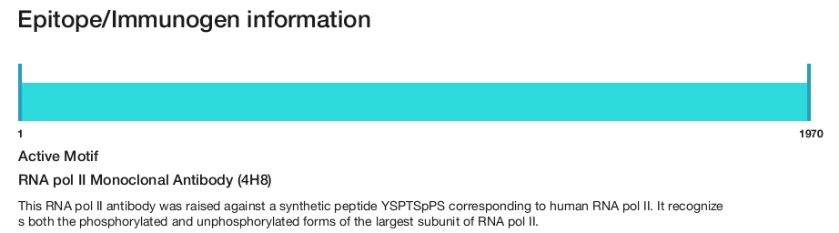RNA pol II Monoclonal Antibody (4H8)