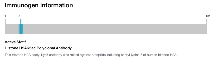Histone H2AK5ac Polyclonal Antibody