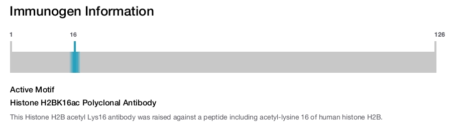 Histone H2BK16ac Polyclonal Antibody