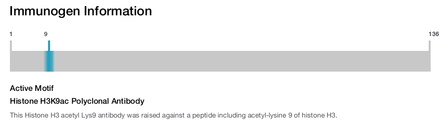 Histone H3K9ac Polyclonal Antibody