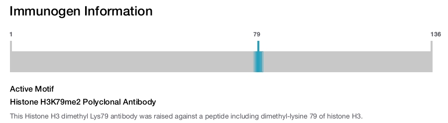 Histone H3K79me2 Polyclonal Antibody