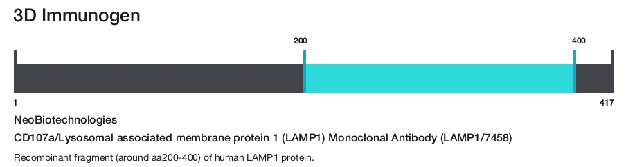 CD107a/Lysosomal associated membrane protein 1 (LAMP1) Monoclonal Antibody (LAMP1/7458)