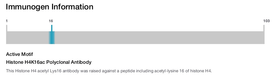 Histone H4K16ac Polyclonal Antibody