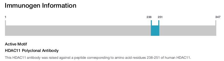 HDAC11 Polyclonal Antibody