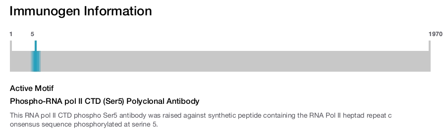 Phospho-RNA pol II CTD (Ser5) Polyclonal Antibody