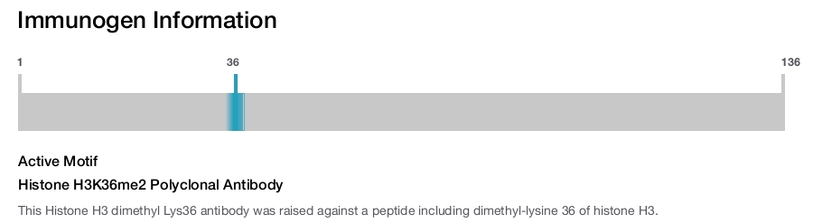 Histone H3K36me2 Polyclonal Antibody