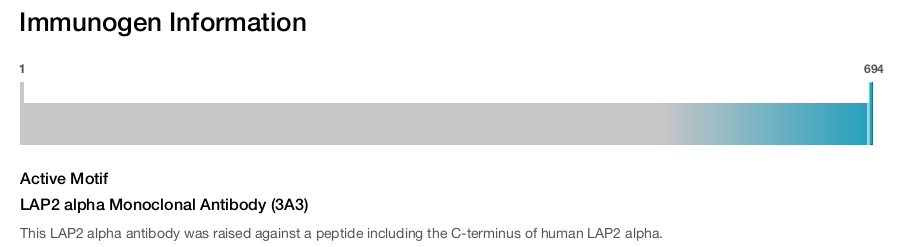 LAP2 alpha Monoclonal Antibody (3A3)