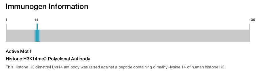 Histone H3K14me2 Polyclonal Antibody