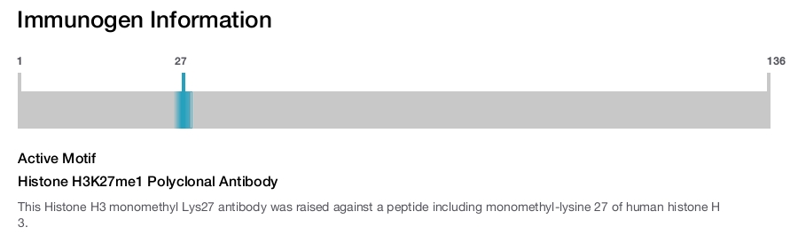 Histone H3K27me1 Polyclonal Antibody