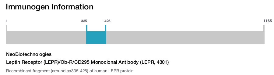 Leptin Receptor (LEPR)/Ob-R/CD295 Monoclonal Antibody (LEPR, 4301)