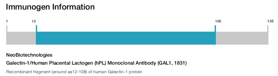 Galectin-1/Human Placental Lactogen (hPL) Monoclonal Antibody (GAL1, 1831)