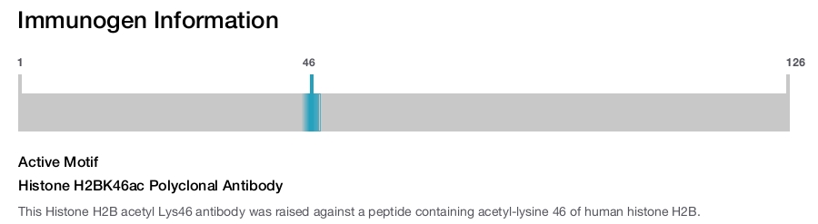 Histone H2BK46ac Polyclonal Antibody