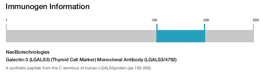 Galectin-3 (LGALS3) (Thyroid Cell Marker) Monoclonal Antibody (LGALS3/4792)