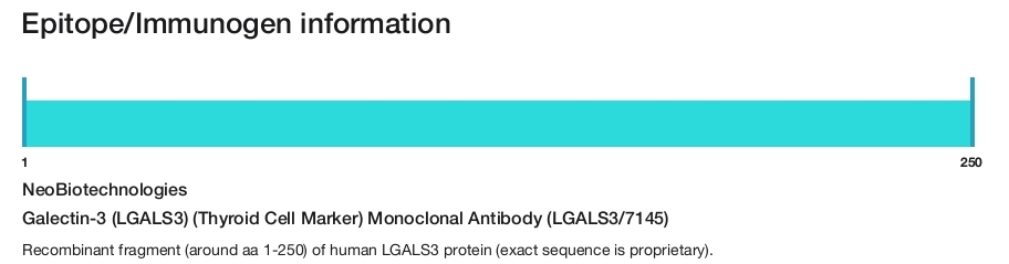 Galectin-3 (LGALS3) (Thyroid Cell Marker) Monoclonal Antibody (LGALS3/7145)