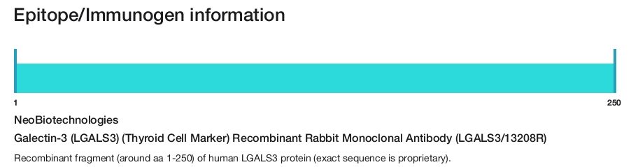 Galectin-3 (LGALS3) (Thyroid Cell Marker) Recombinant Rabbit Monoclonal Antibody (LGALS3/13208R)