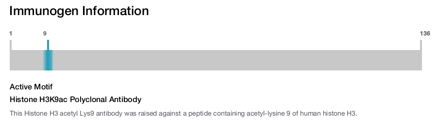 Histone H3K9ac Polyclonal Antibody