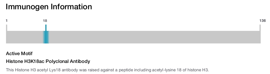 Histone H3K18ac Polyclonal Antibody