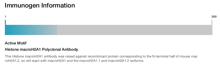 Histone macroH2A1 Polyclonal Antibody