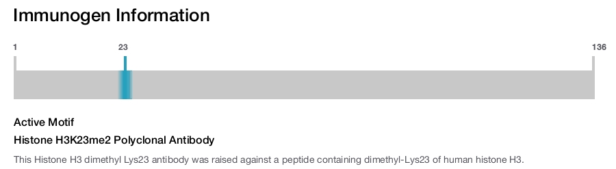 Histone H3K23me2 Polyclonal Antibody