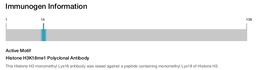 Histone H3K18me1 Polyclonal Antibody