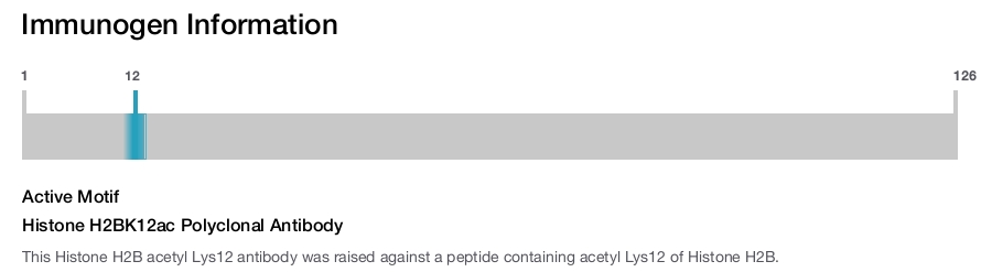 Histone H2BK12ac Polyclonal Antibody