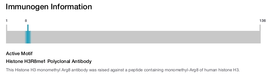 Histone H3R8me1 Polyclonal Antibody