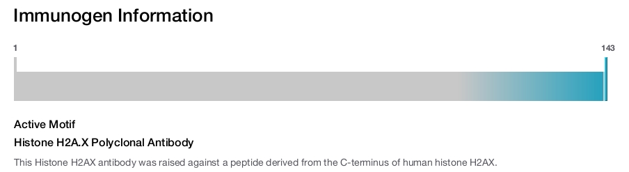 Histone H2A.X Polyclonal Antibody