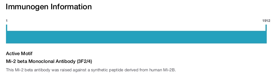 Mi-2 beta Monoclonal Antibody (3F2/4)