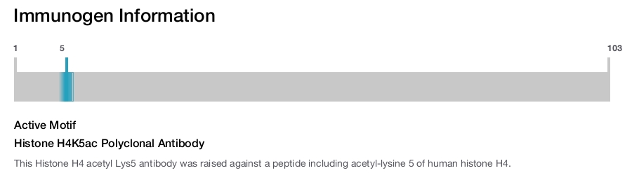 Histone H4K5ac Polyclonal Antibody