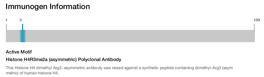 Histone H4R3me2a (asymmetric) Polyclonal Antibody