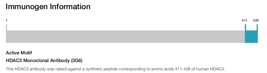 HDAC3 Monoclonal Antibody (3G6)