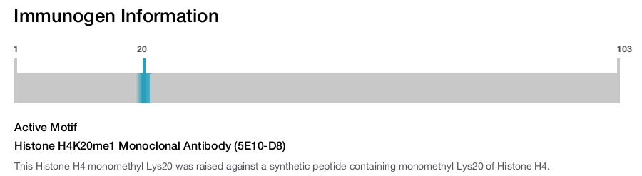Histone H4K20me1 Monoclonal Antibody (5E10-D8)