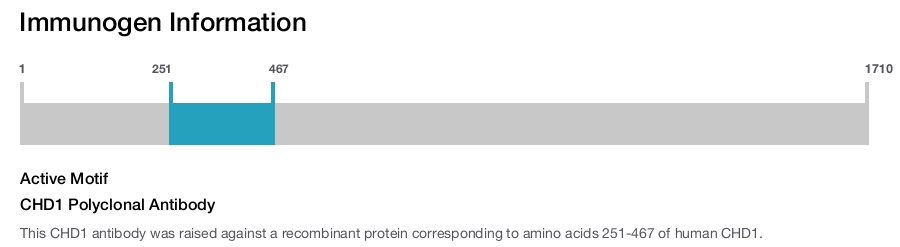 CHD1 Polyclonal Antibody