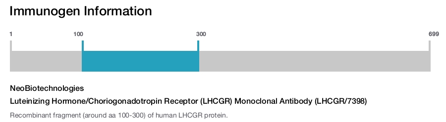 Luteinizing Hormone/Choriogonadotropin Receptor (LHCGR) Monoclonal Antibody (LHCGR/7398)
